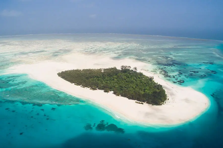 Mnemba Island Snorkeling & Dolphin Tour